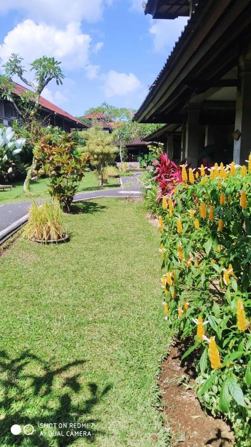 Hotel Puri Padi Ubud Esterno foto